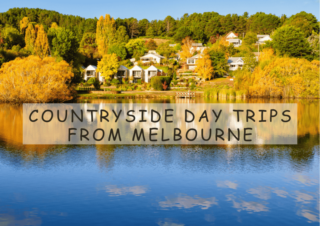 A scenic countryside road near Melbourne, surrounded by lush greenery and rolling hills, perfect for a relaxing day trip escape.