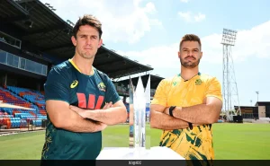 Fans cheering at Australia vs South Africa cricket match in Melbourne