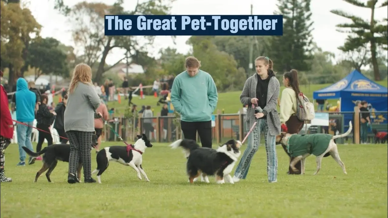 Pet owners joining the Wag & Walk at The Great Pet-Together 2025