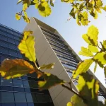 Unlocking Innovation in Melbourne – What to Expect from the 2025 Francis Gurry Lecture on Intellectual Property